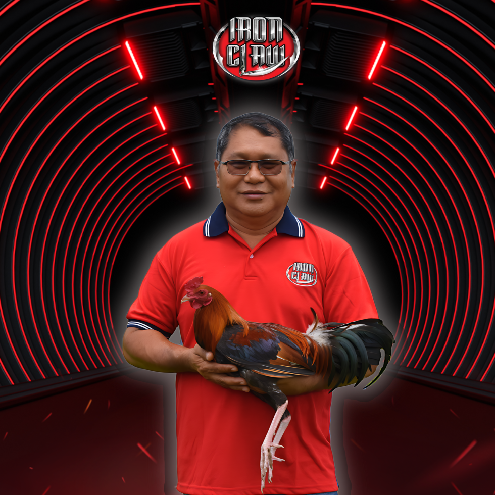 Endorsers Profile Iron claw