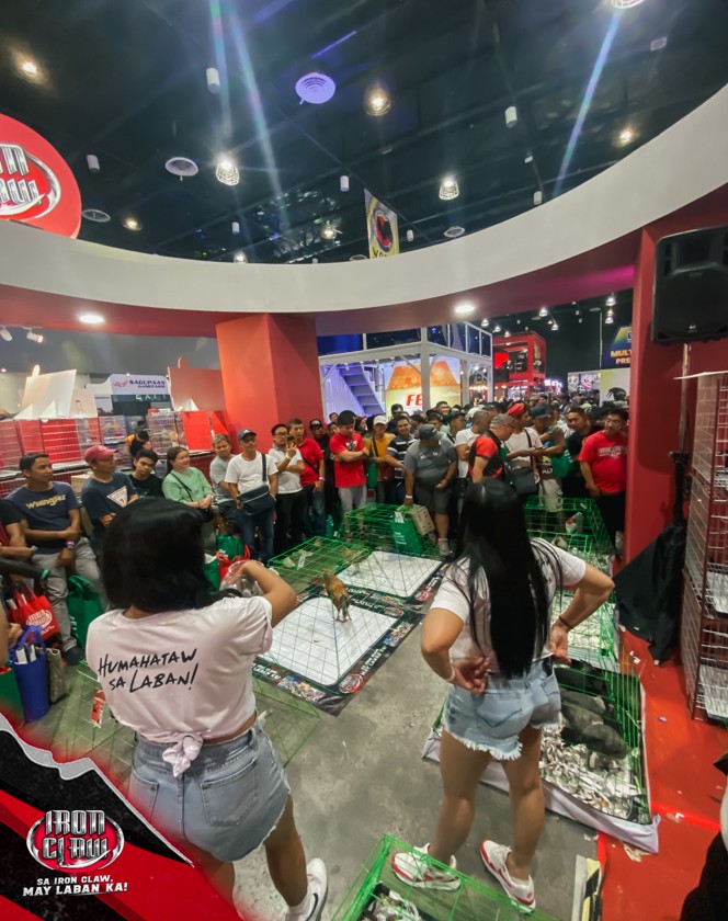(World Gamefowl Expo 2025 DAY 3)